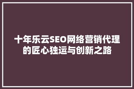 十年乐云SEO网络营销代理的匠心独运与创新之路