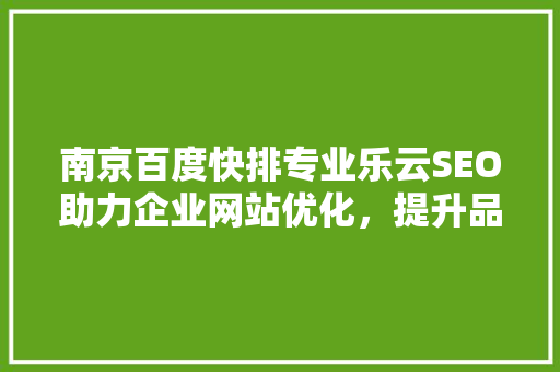 南京百度快排专业乐云SEO助力企业网站优化，提升品牌影响力