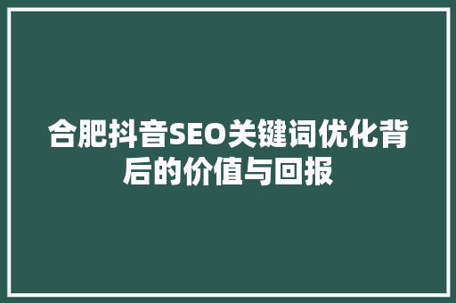 合肥抖音SEO关键词优化背后的价值与回报