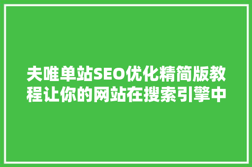 夫唯单站SEO优化精简版教程让你的网站在搜索引擎中脱颖而出