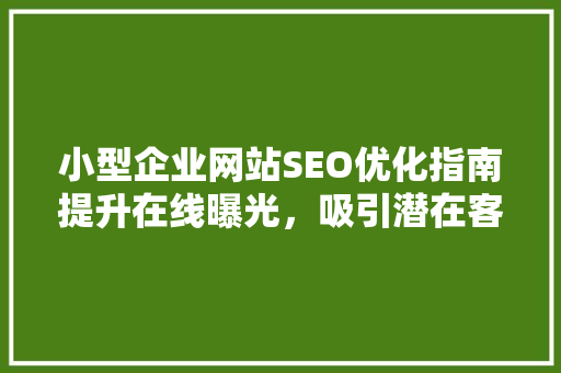 小型企业网站SEO优化指南提升在线曝光，吸引潜在客户