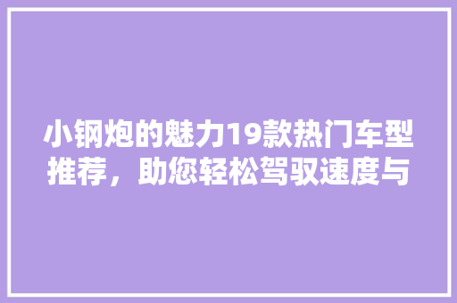 小钢炮的魅力19款热门车型推荐，助您轻松驾驭速度与激情