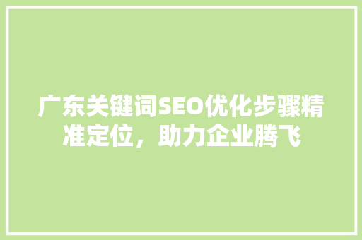 广东关键词SEO优化步骤精准定位，助力企业腾飞