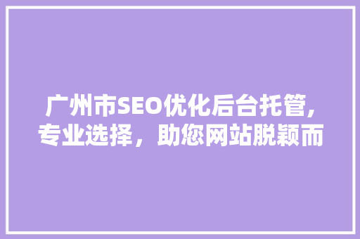 广州市SEO优化后台托管,专业选择，助您网站脱颖而出