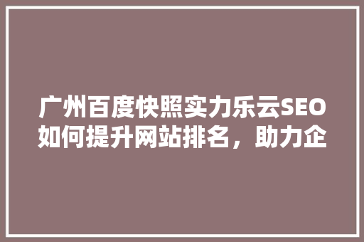 广州百度快照实力乐云SEO如何提升网站排名，助力企业腾飞