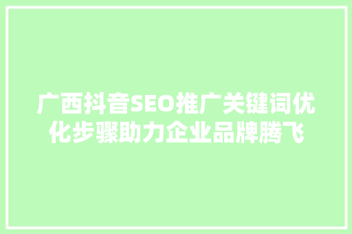 广西抖音SEO推广关键词优化步骤助力企业品牌腾飞