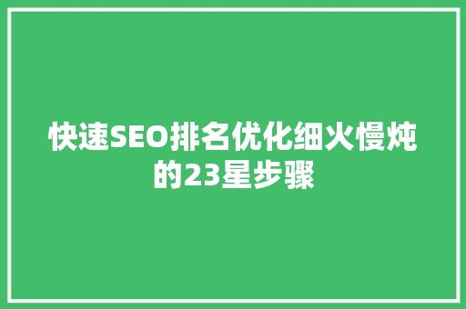 快速SEO排名优化细火慢炖的23星步骤