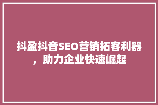 抖盈抖音SEO营销拓客利器，助力企业快速崛起