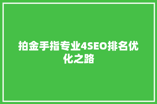 拍金手指专业4SEO排名优化之路