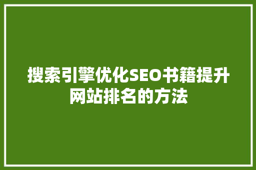 搜索引擎优化SEO书籍提升网站排名的方法