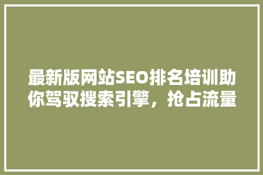 最新版网站SEO排名培训助你驾驭搜索引擎，抢占流量高地