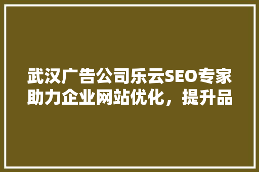 武汉广告公司乐云SEO专家助力企业网站优化，提升品牌影响力