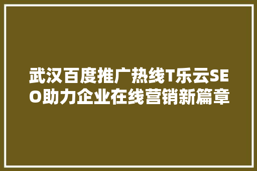 武汉百度推广热线T乐云SEO助力企业在线营销新篇章