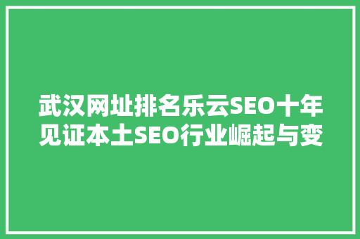 武汉网址排名乐云SEO十年见证本土SEO行业崛起与变革