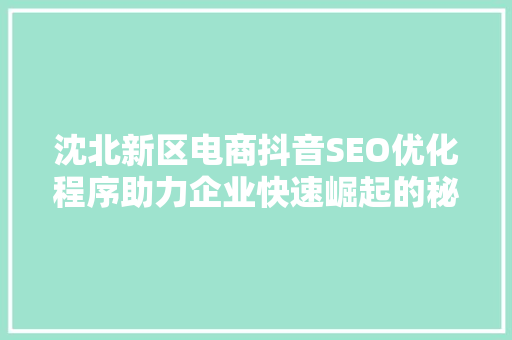 沈北新区电商抖音SEO优化程序助力企业快速崛起的秘密武器