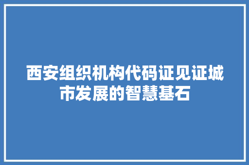 西安组织机构代码证见证城市发展的智慧基石
