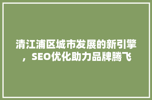 清江浦区城市发展的新引擎，SEO优化助力品牌腾飞