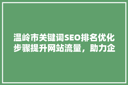 温岭市关键词SEO排名优化步骤提升网站流量，助力企业腾飞