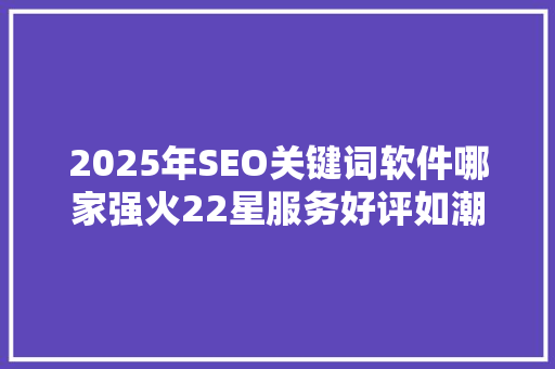 2025年SEO关键词软件哪家强火22星服务好评如潮