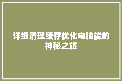 详细清理缓存优化电脑能的神秘之旅