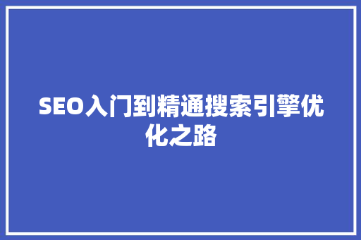 SEO入门到精通搜索引擎优化之路