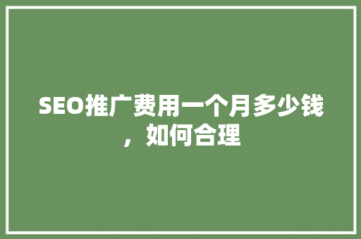 SEO推广费用一个月多少钱，如何合理