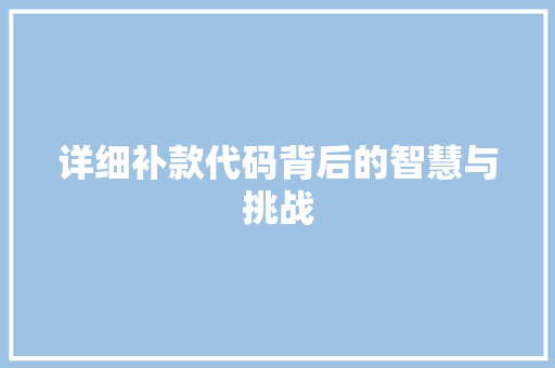 详细补款代码背后的智慧与挑战