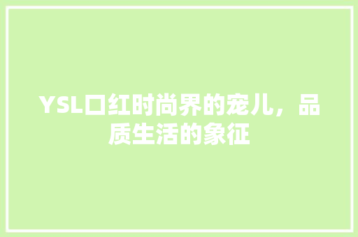 YSL口红时尚界的宠儿，品质生活的象征