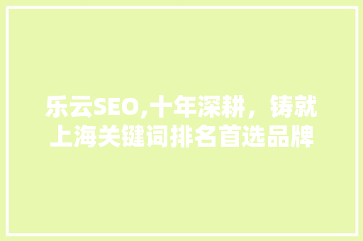 乐云SEO,十年深耕，铸就上海关键词排名首选品牌
