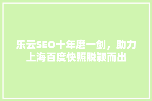 乐云SEO十年磨一剑，助力上海百度快照脱颖而出