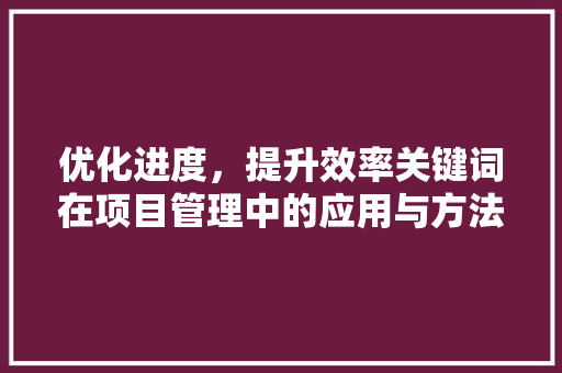 优化进度，提升效率关键词在项目管理中的应用与方法