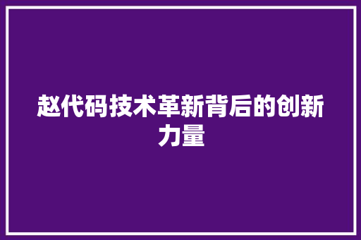 赵代码技术革新背后的创新力量