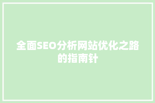 全面SEO分析网站优化之路的指南针