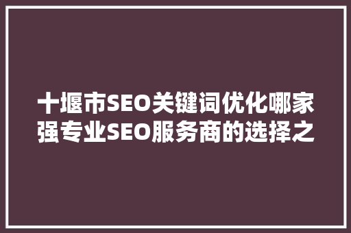 十堰市SEO关键词优化哪家强专业SEO服务商的选择之路