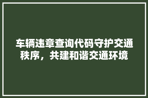 车辆违章查询代码守护交通秩序，共建和谐交通环境