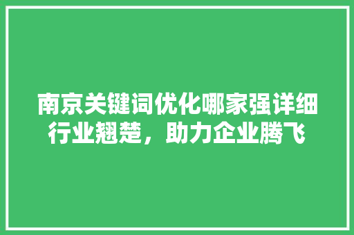 南京关键词优化哪家强详细行业翘楚，助力企业腾飞