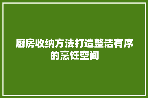 厨房收纳方法打造整洁有序的烹饪空间