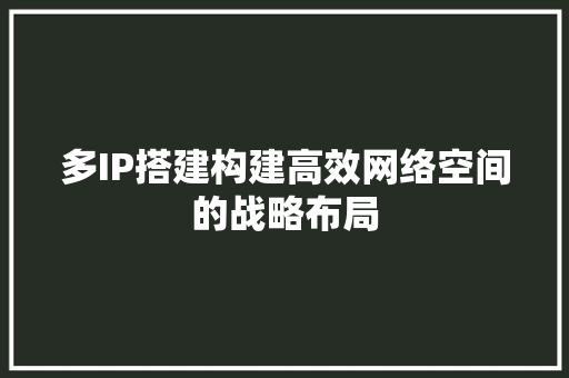 多IP搭建构建高效网络空间的战略布局