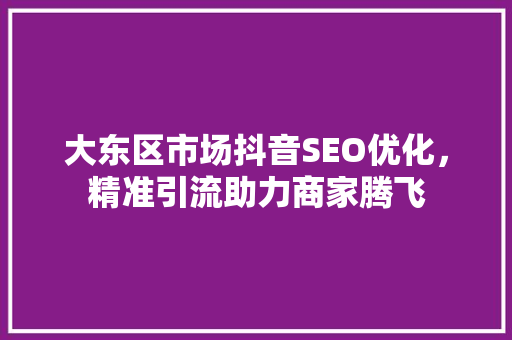 大东区市场抖音SEO优化，精准引流助力商家腾飞
