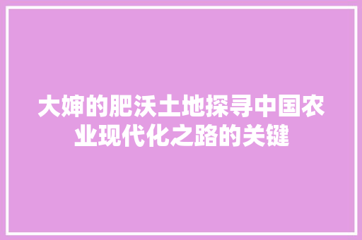 大婶的肥沃土地探寻中国农业现代化之路的关键