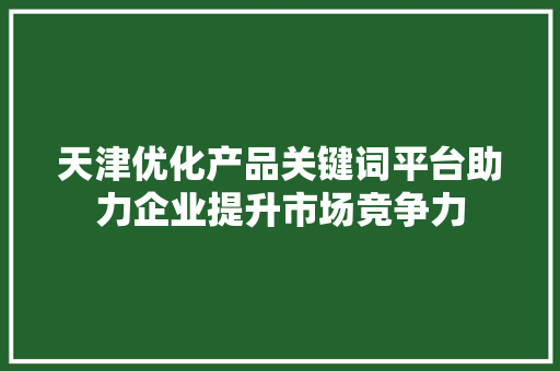 天津优化产品关键词平台助力企业提升市场竞争力