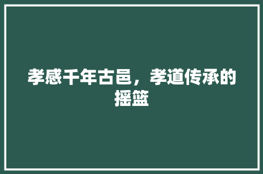 孝感千年古邑，孝道传承的摇篮