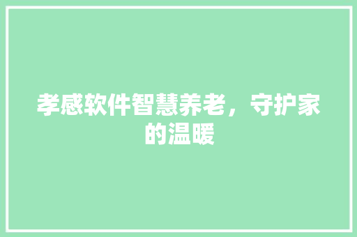 孝感软件智慧养老，守护家的温暖