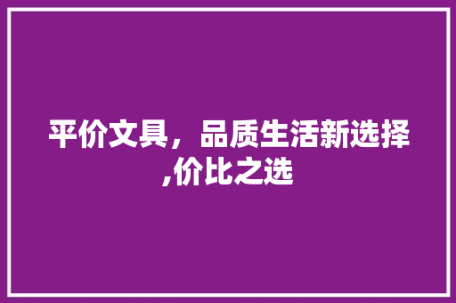 平价文具，品质生活新选择,价比之选