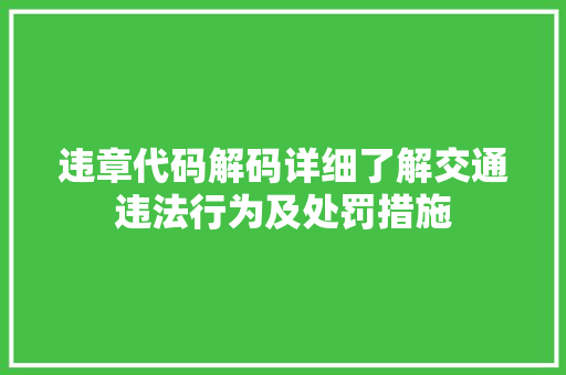 违章代码解码详细了解交通违法行为及处罚措施