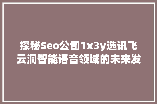 探秘Seo公司1x3y选讯飞云洞智能语音领域的未来发展趋势