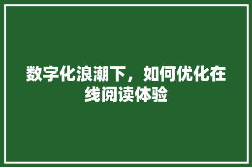 数字化浪潮下，如何优化在线阅读体验