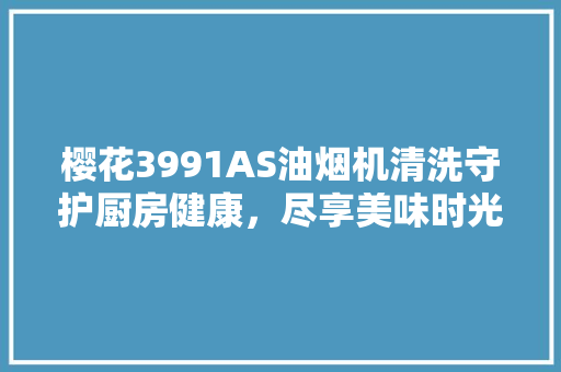 樱花3991AS油烟机清洗守护厨房健康，尽享美味时光