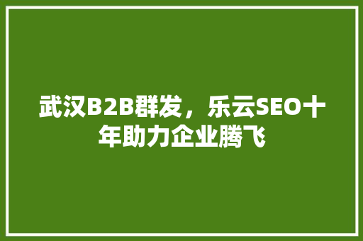 武汉B2B群发，乐云SEO十年助力企业腾飞