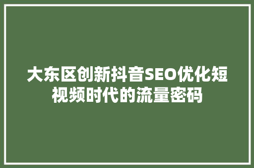 大东区创新抖音SEO优化短视频时代的流量密码